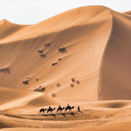 Your Berber Camp Merzouga Exteriör bild