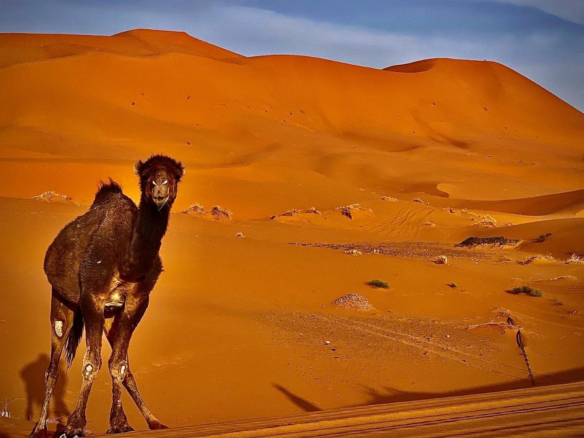 Your Berber Camp Merzouga Exteriör bild