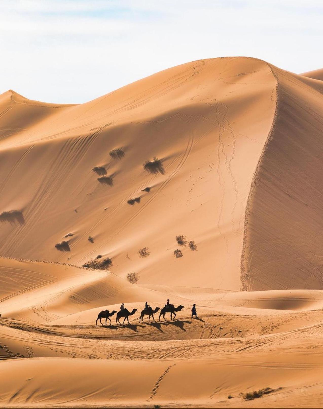 Your Berber Camp Merzouga Exteriör bild